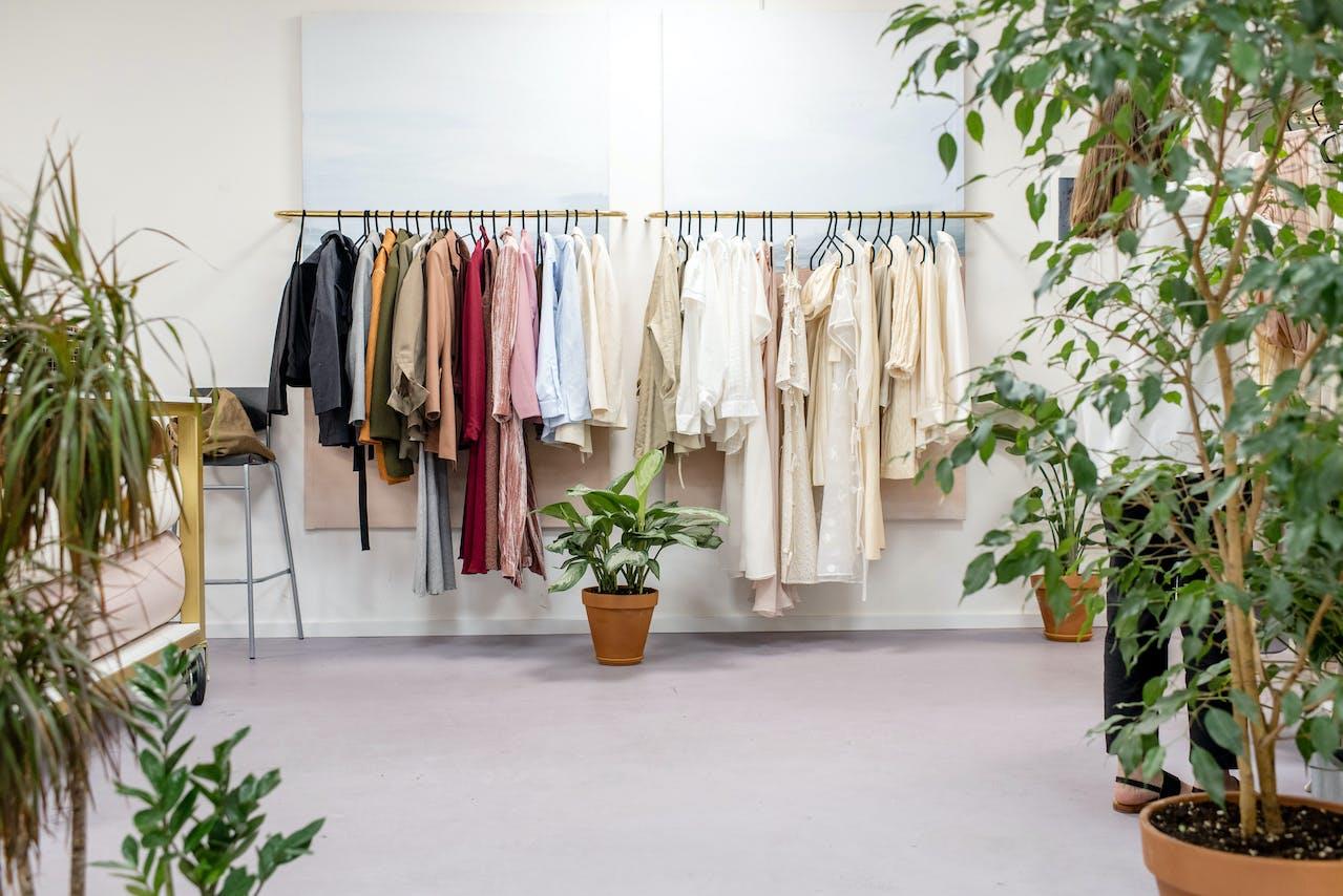 Prachtige grote kamerplanten en planten met pot in diverse soorten voor jouw groene interieur