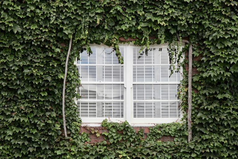 Home Houten shutters als mooiste manier voor meer privacy in huis met elegant design