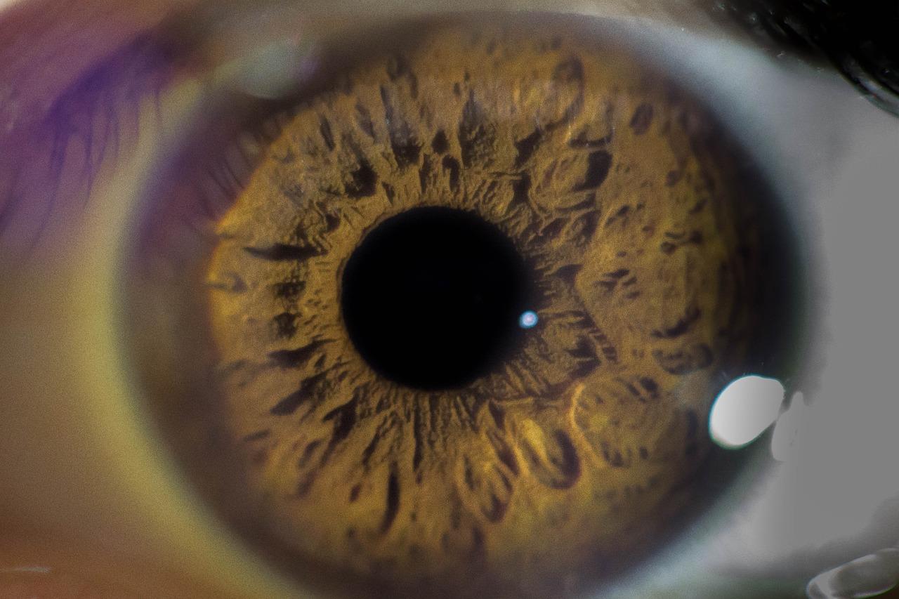 Opticien voert oogmeting uit met moderne apparatuur om brillensterkte vast te stellen