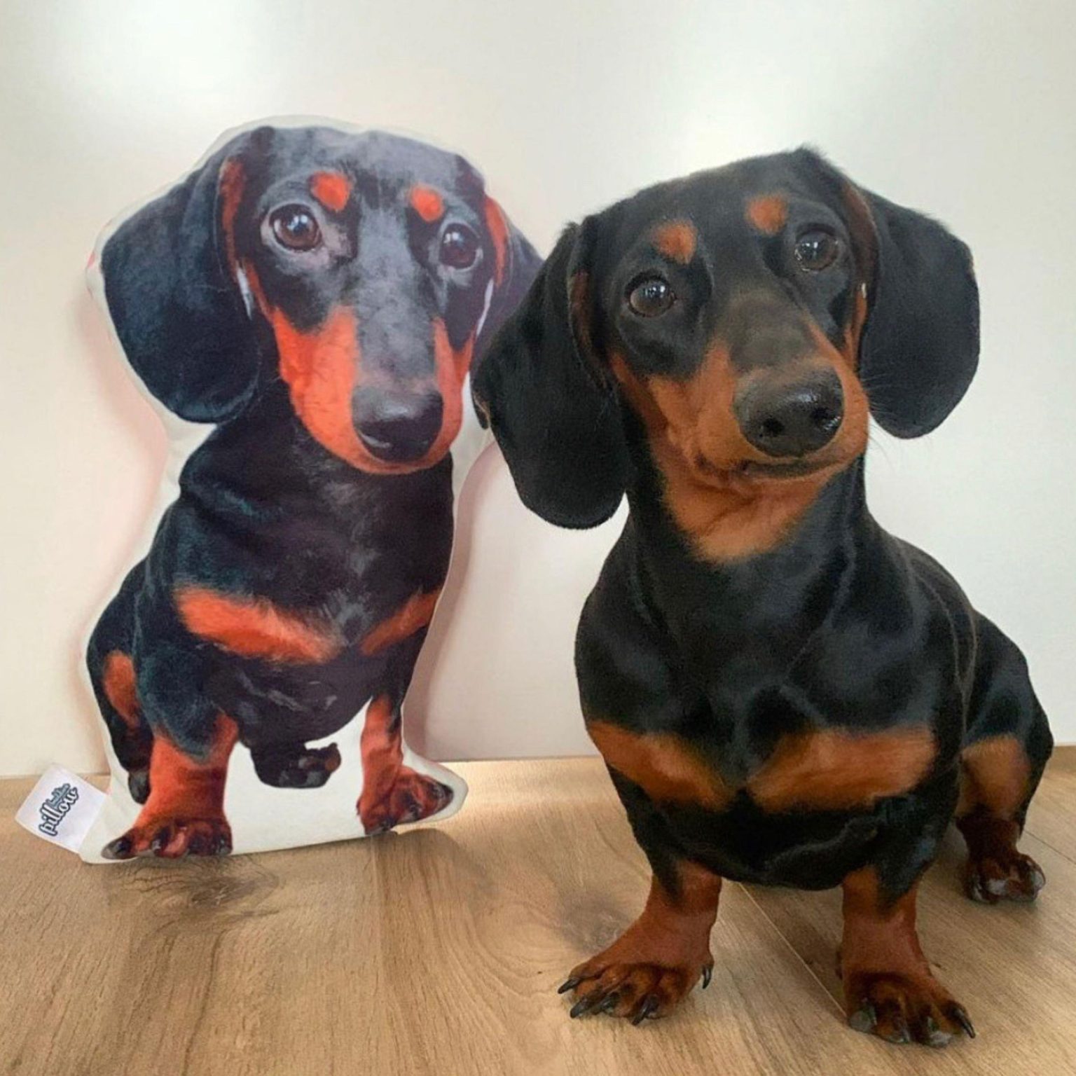 Teckel knuffelkussen met een bedrukking van jouw eigen hond - gepersonaliseerd cadeau voor hondenliefhebbers